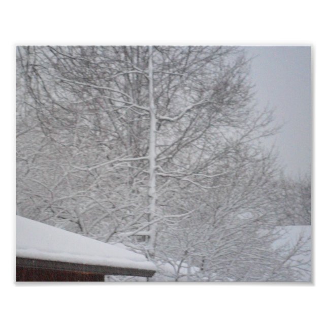 CUSTOM PHOTO PRINTS (Front)