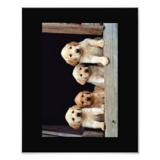 CUSTOM PHOTO PRINTS   8 X 10