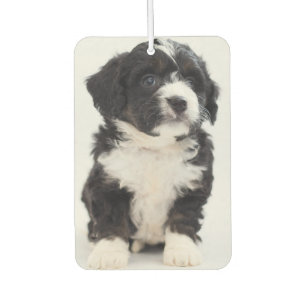 Custom Photo Puppy Dog Pet Personalised Car Air Freshener