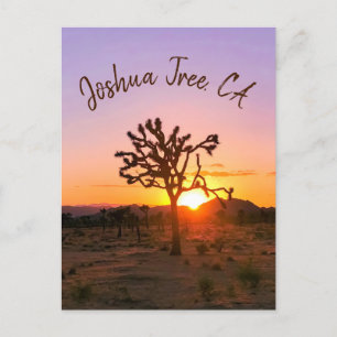 Custom Photo Purple Orange Joshua Tree Sunset Postcard