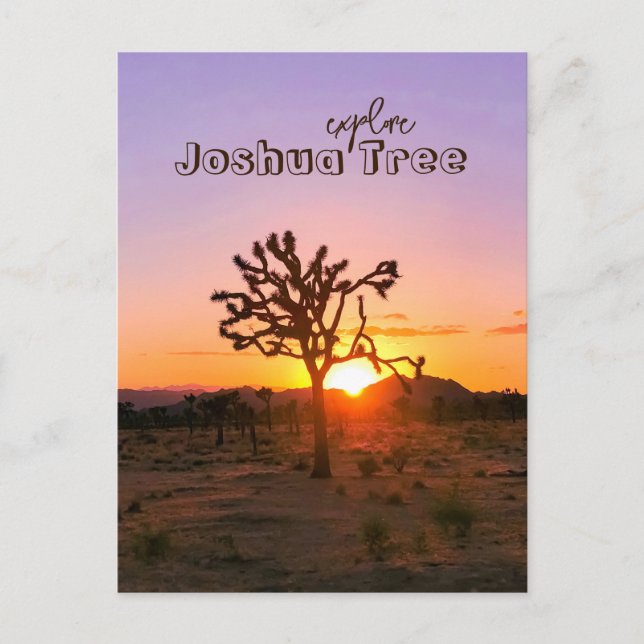 Custom Photo Purple Orange Sunset Joshua Tree Postcard (Front)