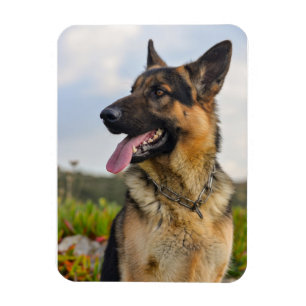 Custom Photo Refrigerator Magnet