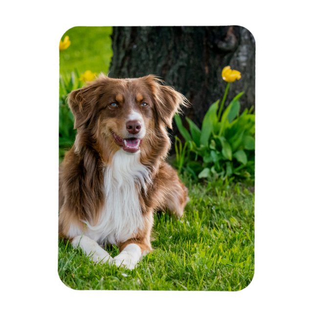 Custom Photo Refrigerator Magnet (Vertical)