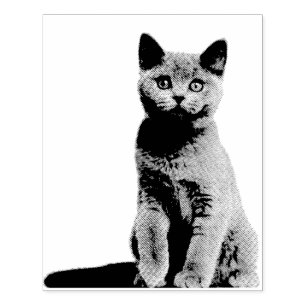 Custom Photo Rubber Stamp