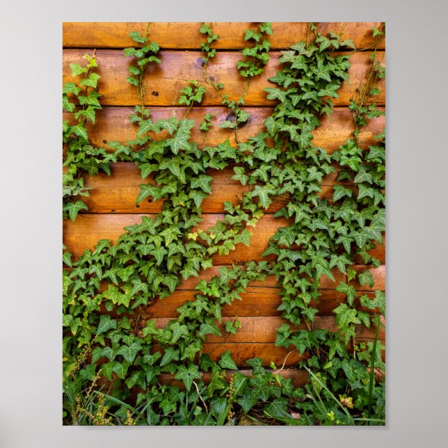 Custom Photo Rustic Ivy on Log Cabin Wall Portrait Poster (Front)