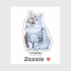 Custom Photo Stickers | Personalised Vinyl Decals