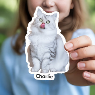 Custom Photo Stickers | Personalised Vinyl Decals