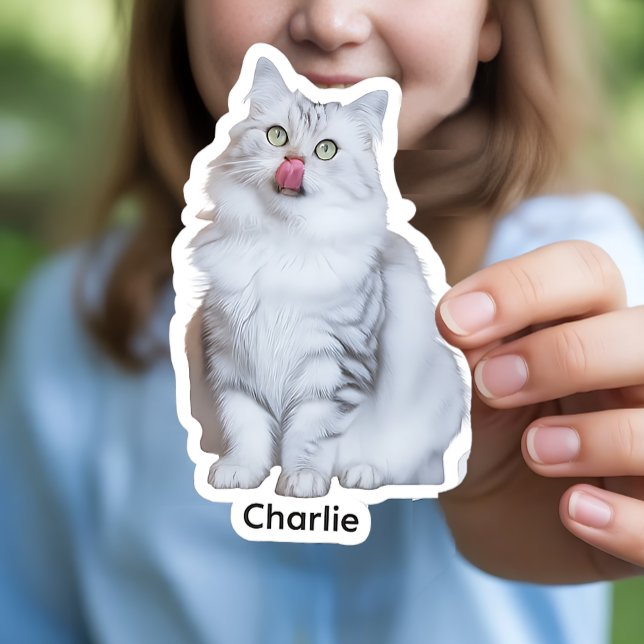 Custom Photo Stickers | Personalised Vinyl Decals (Custom Photo Vinyl Stickers)