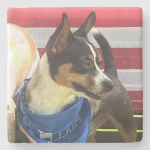custom photo stone coaster