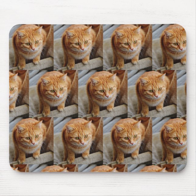 Custom Photo Template Collage Pet Family Mouse Mat (Front)