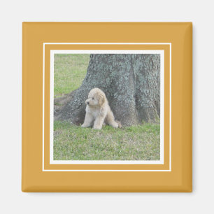 Custom Photo Template Golden Yellow & White Magnet