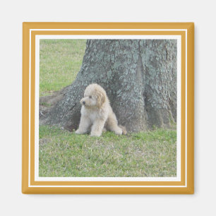 Custom Photo Template Golden Yellow & White Magnet