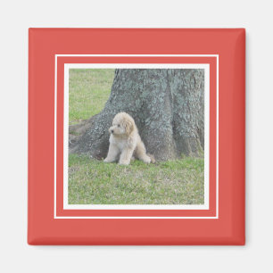 Custom Photo Template Modern Simple Chic Red White Magnet