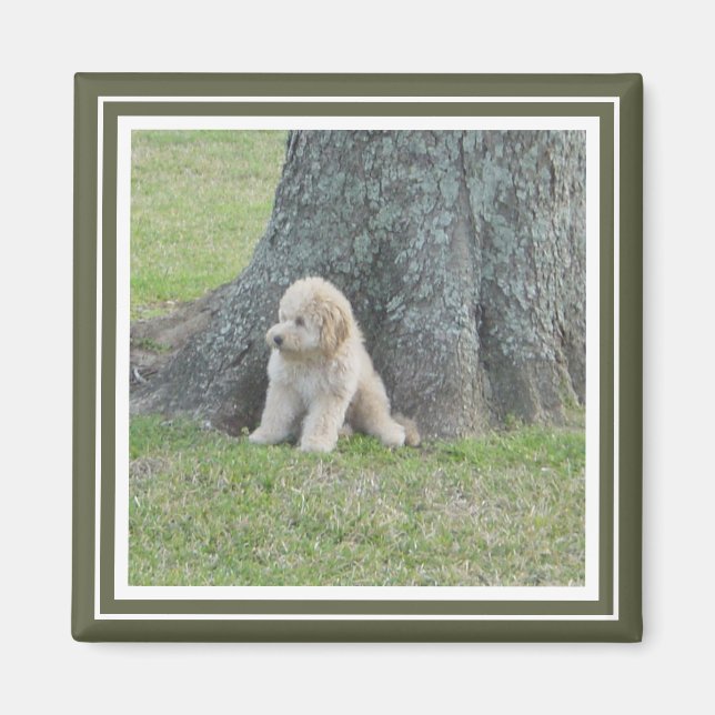 Custom Photo Template Moss Green & White Magnet (Front)