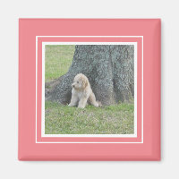 Custom Photo Template Soft Pink Coral& White