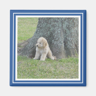 Custom Photo Template Stylish Royal Blue & White Magnet