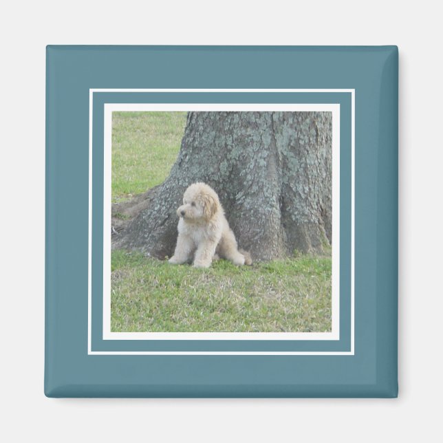 Custom Photo Template Turquoise & White Magnet (Front)
