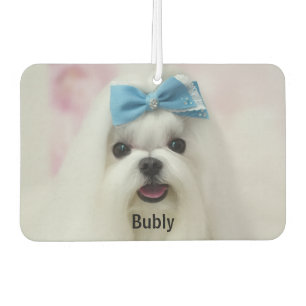Custom Photo Text Logo Personalised Branding  Car Air Freshener
