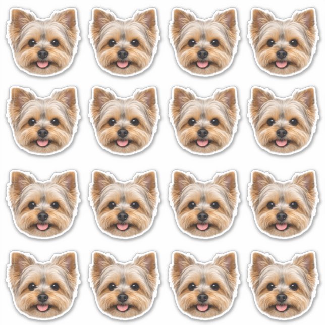 Custom Photo Waterproof Vinyl  (Front)