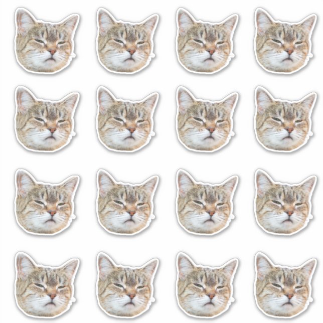 Custom Photo Waterproof Vinyl  (Front)