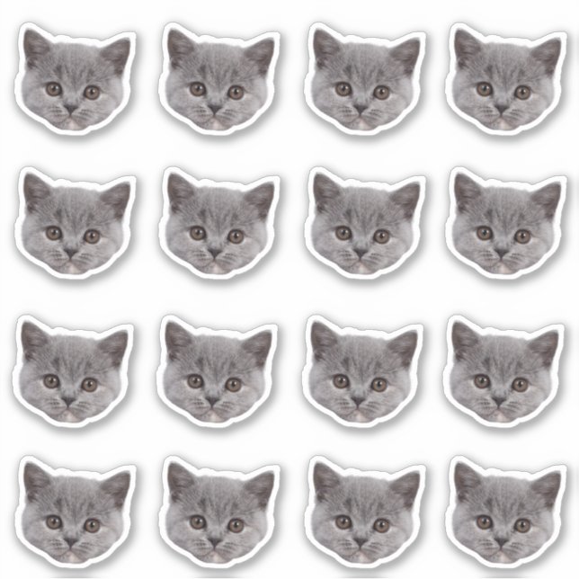 Custom Photo Waterproof Vinyl Stickers (Front)