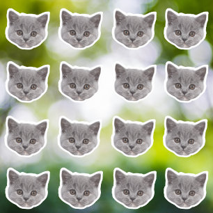 Custom Photo Waterproof Vinyl Stickers