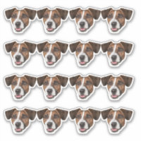 Custom Photo Waterproof Vinyl Stickers