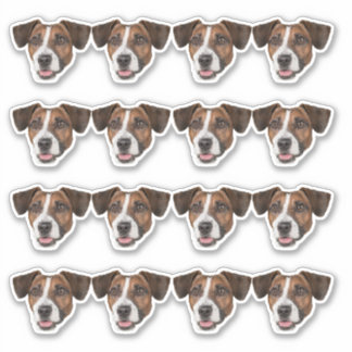 Custom Photo Waterproof Vinyl Stickers