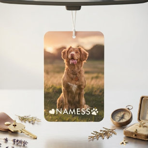 Custom Photo With Your Pet Dog Name Picture On Car Air Freshener