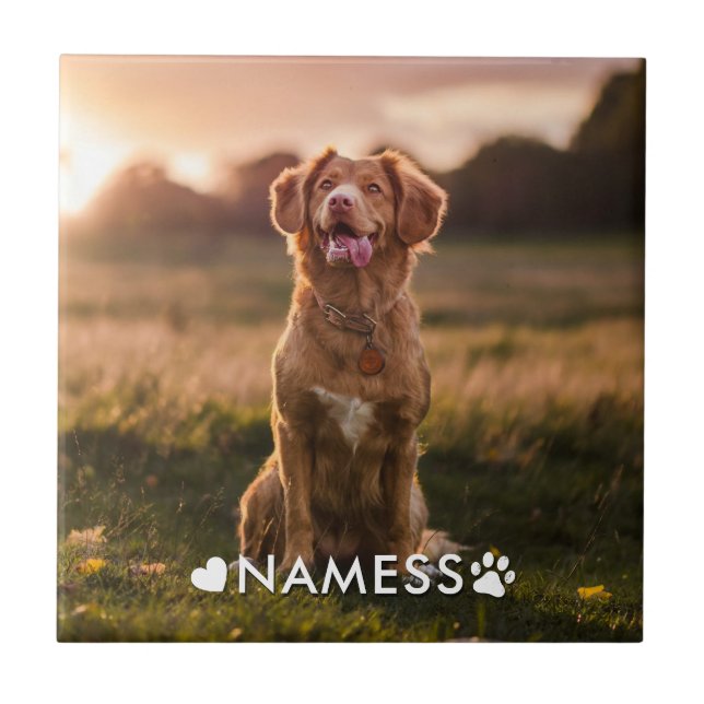 Custom Photo With Your Pet Dog Name Picture On Tile (Front)