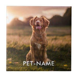 Custom Photo With Your Pet Dog Name Picture On Tile