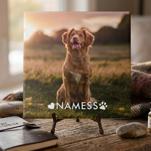 Custom Photo With Your Pet Dog Name Picture On Tile