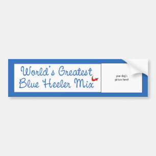 Custom Photo! Worlds Greatest Blue Heeler Mix Bumper Sticker