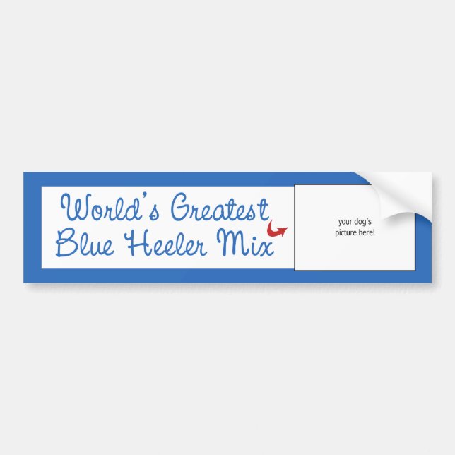 Custom Photo! Worlds Greatest Blue Heeler Mix Bumper Sticker (Front)