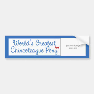 Custom Photo! Worlds Greatest Chincoteague Pony Bumper Sticker