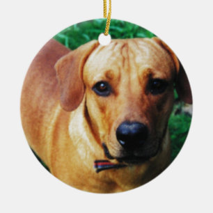 Custom Picture Personalised 2 Sided Photo Ceramic Tree Decoration