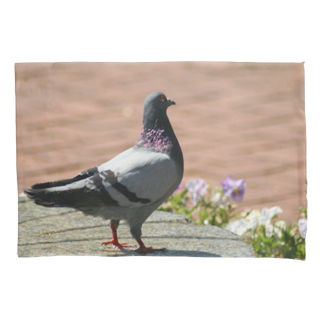 Custom Pigeon Pillowcase for Pillows (Front)