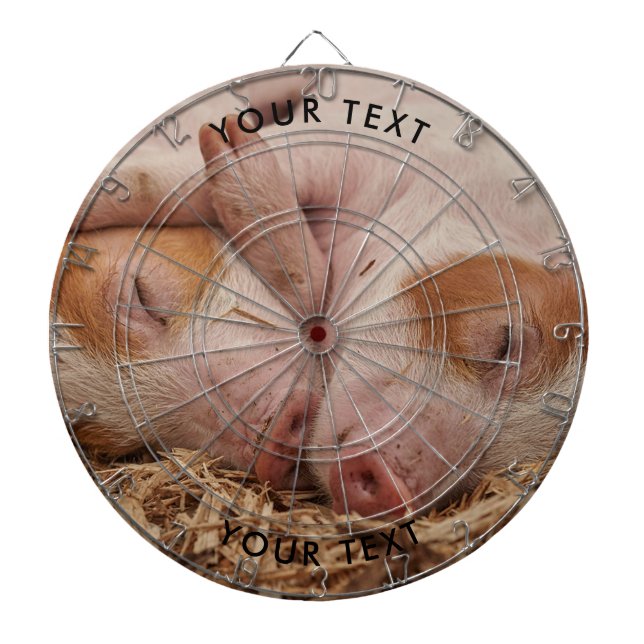 Custom Pigs Photo Dart Board (Front)