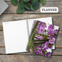 Custom Pink Blooming Tree Crown Photo -