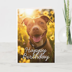 Custom Pitbull Birthday Card