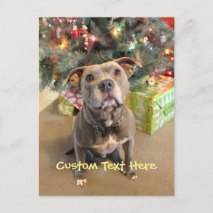 Custom Pitbull Christmas Postcard