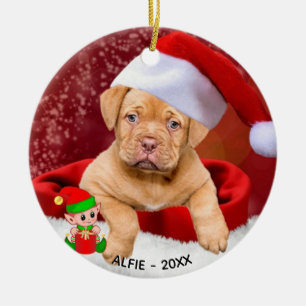 Custom Pitbull Puppy Dog Photo with Cute Elf Ceramic Tree Decoration