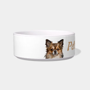 Custom Pomeranian or Chihuahua, Pet, Dog Bowl