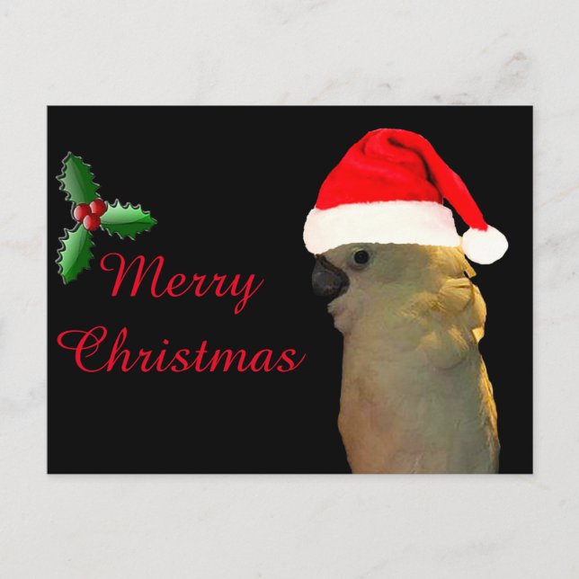 Custom Posing santa holiday Cockatoo bird (Front)