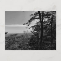 Custom Postcard with Black and White Photograph