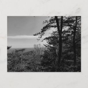 Custom Postcard with Black and White Photograph