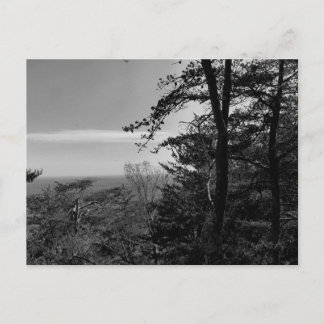 Custom Postcard with Black and White Photograph
