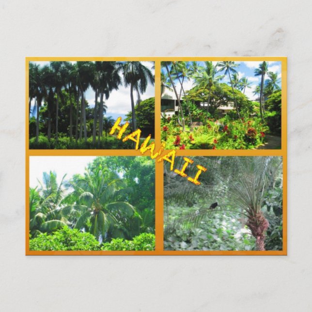 CUSTOM POSTCARDS- HAWAII COLLAGE# 22 POSTCARD (Front)