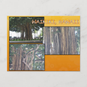 CUSTOM POSTCARDS- HAWAII COLLAGE# 4 POSTCARD