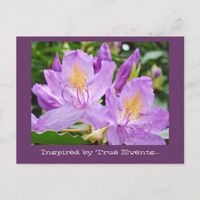 Custom Postcards Inspired by True Events! Rhodies (Front)